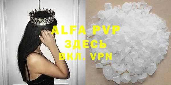 стаф Аркадак