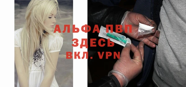 стаф Аркадак