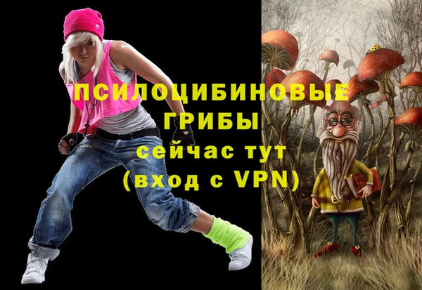 стаф Аркадак