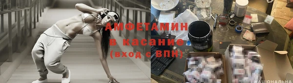 стаф Аркадак
