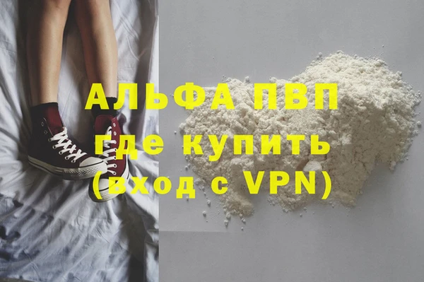 стаф Аркадак